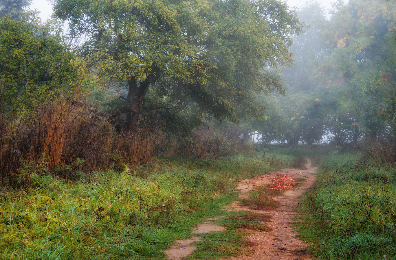 Как то осенью