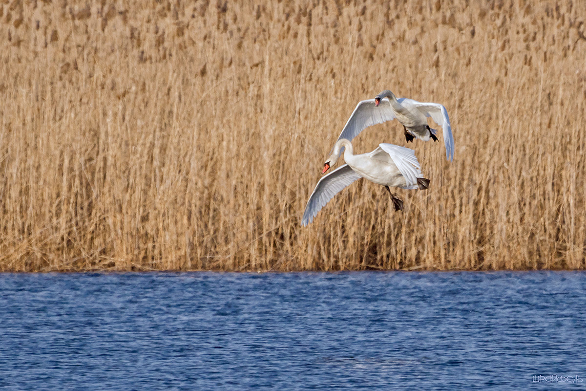 Заход на посадку