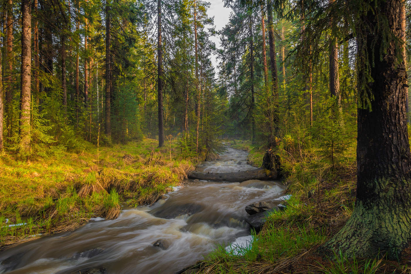 Весенний вечер