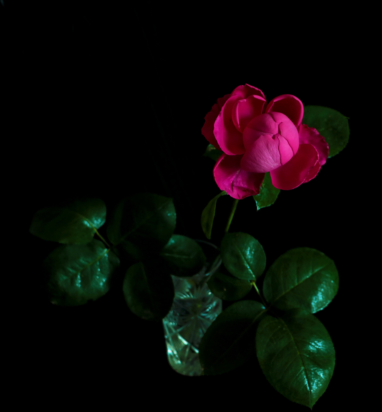 Тайна за семью лепестками...