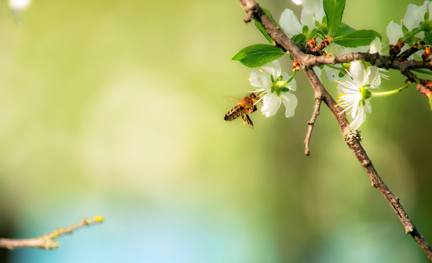 Притяжение.