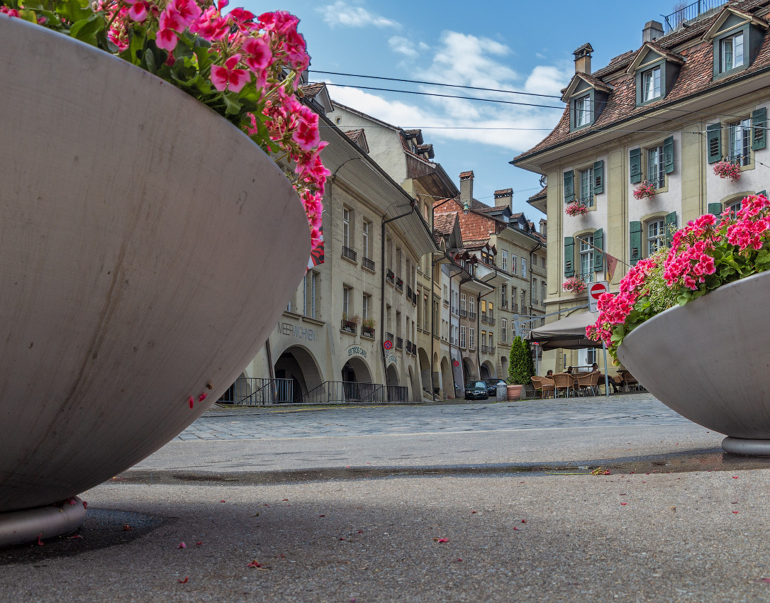 В поисках Цветочной улицы