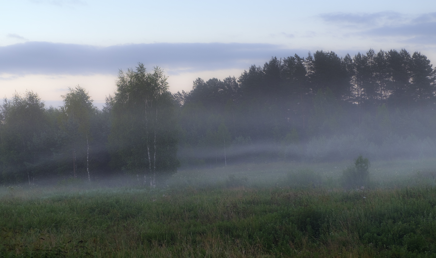 Полосатый туман