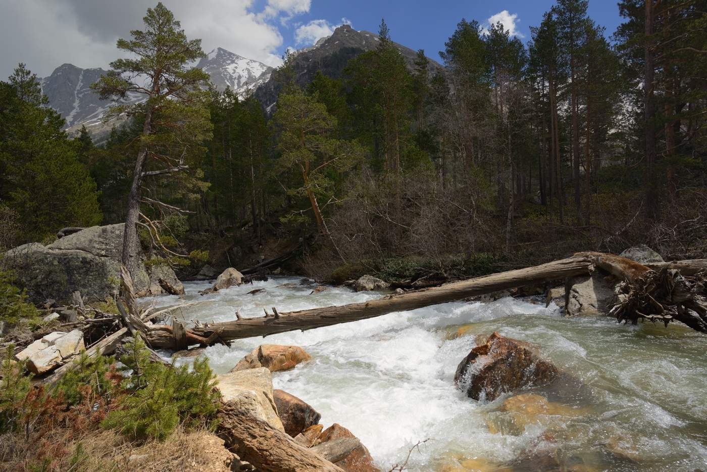 Весенний поток