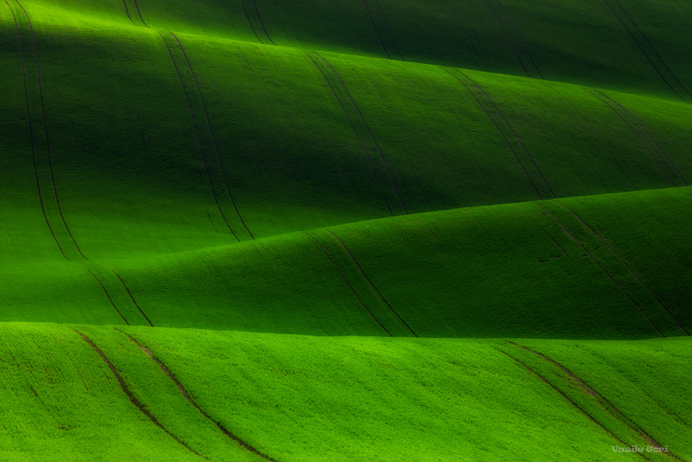 И бархата волны зелёные...