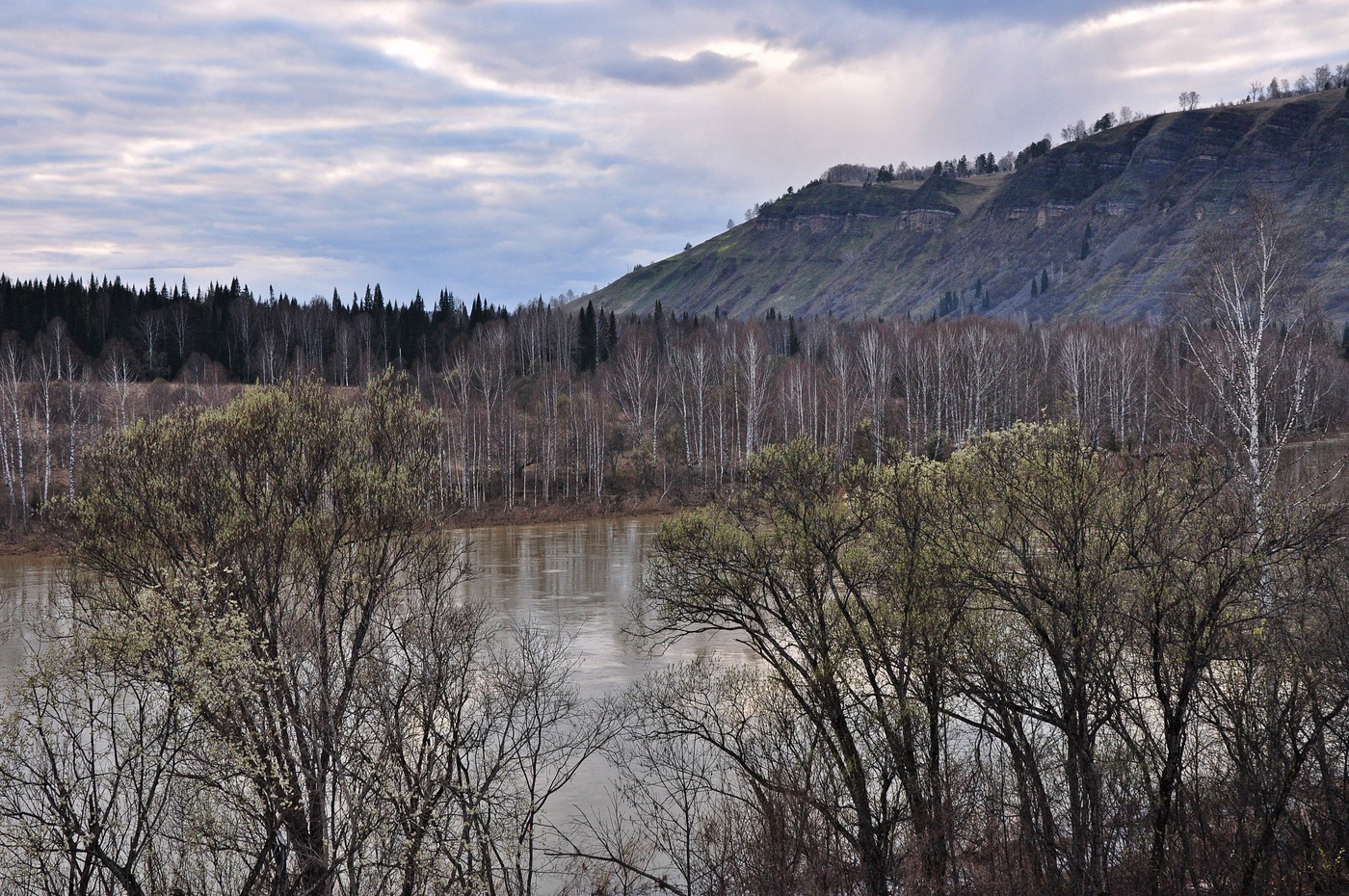 Апрельский пейзаж