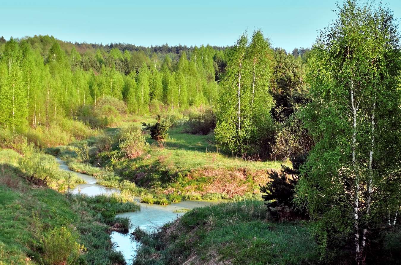 Молодо-зелено