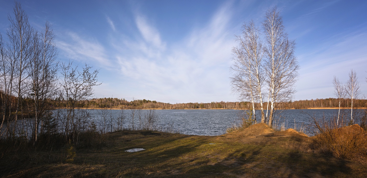 Весенний порыв.