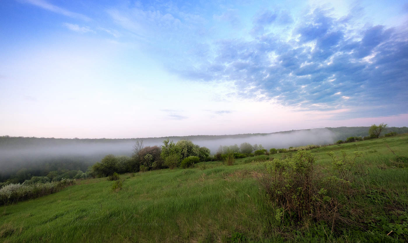 Майское состояние