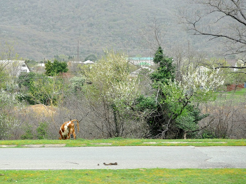 Майское состояние