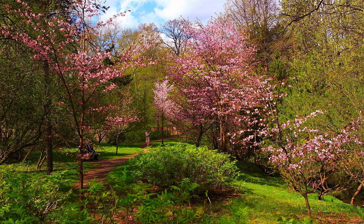 Майское состояние