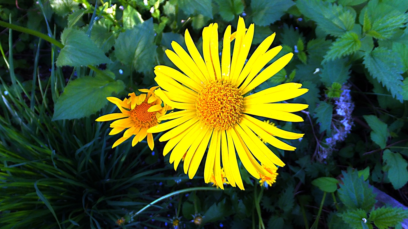 Майское состояние