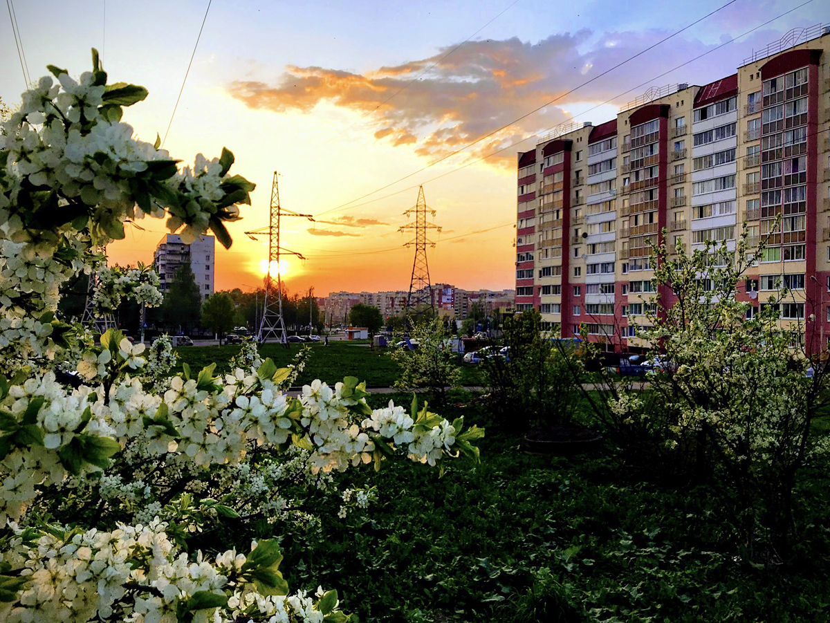 Вечернее настроение