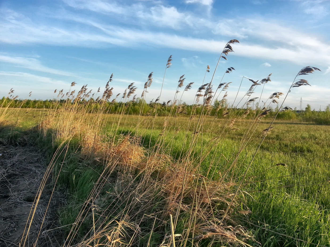 Майское состояние