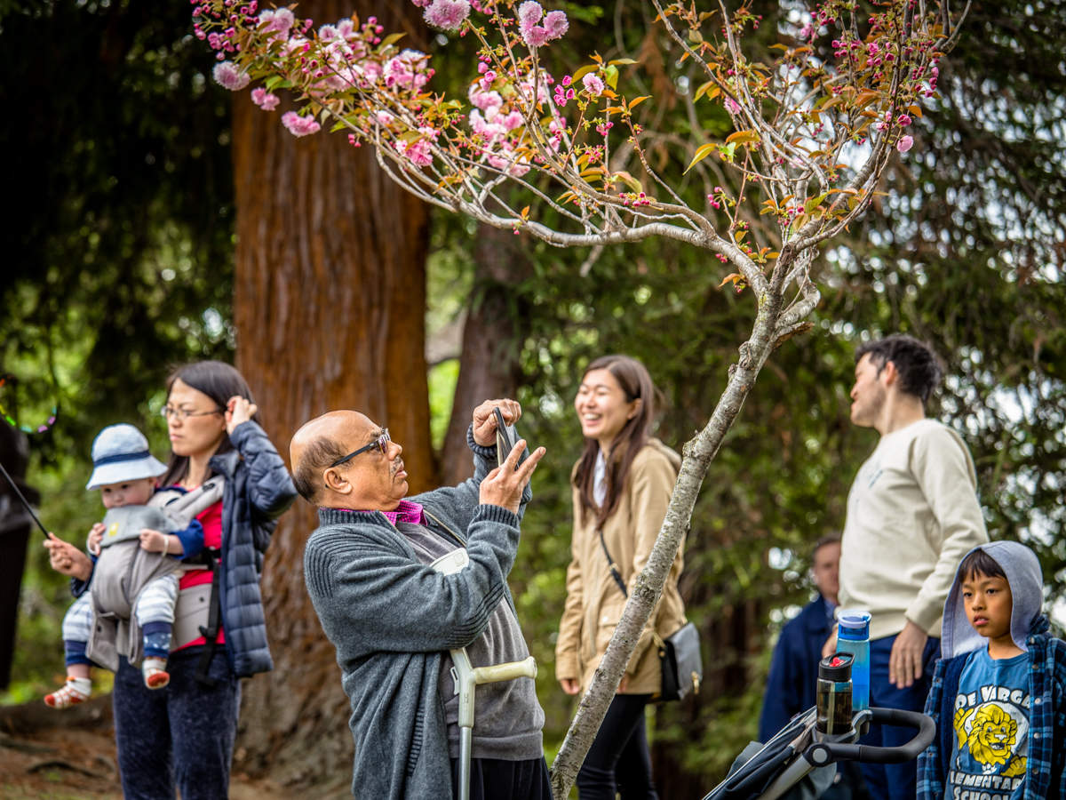 Майское состояние
