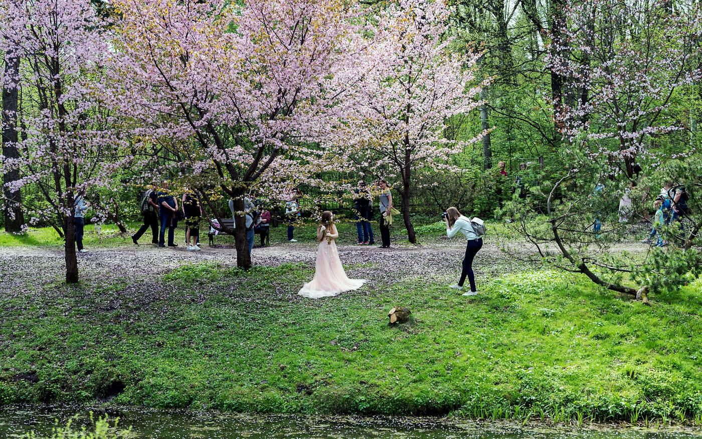 Майское состояние