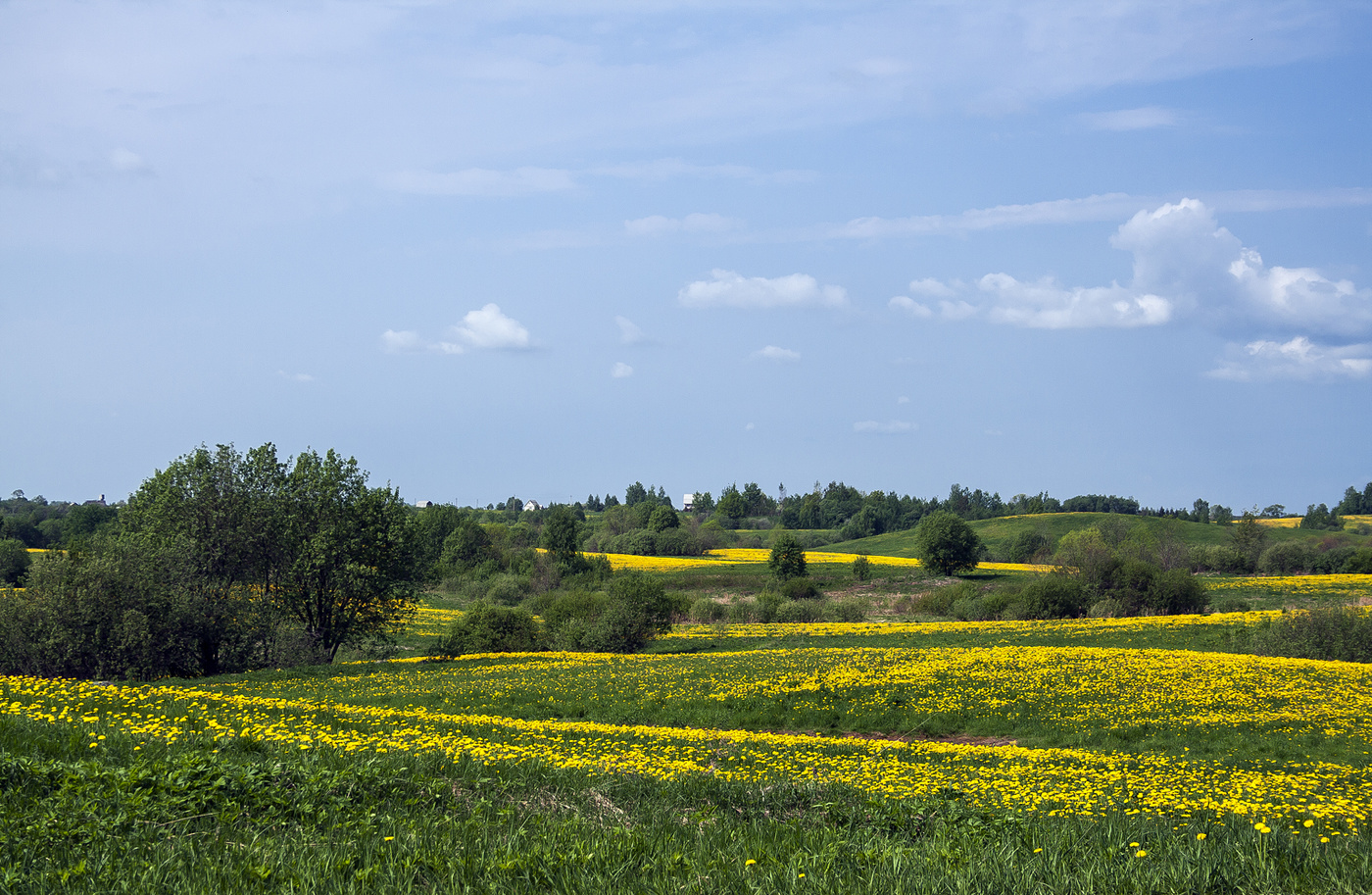 Майское состояние