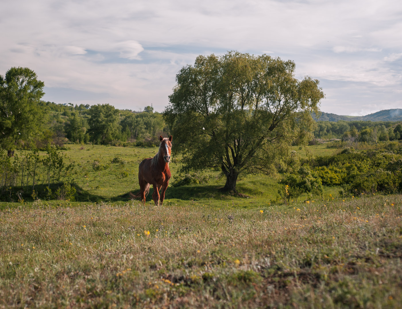 Майское состояние