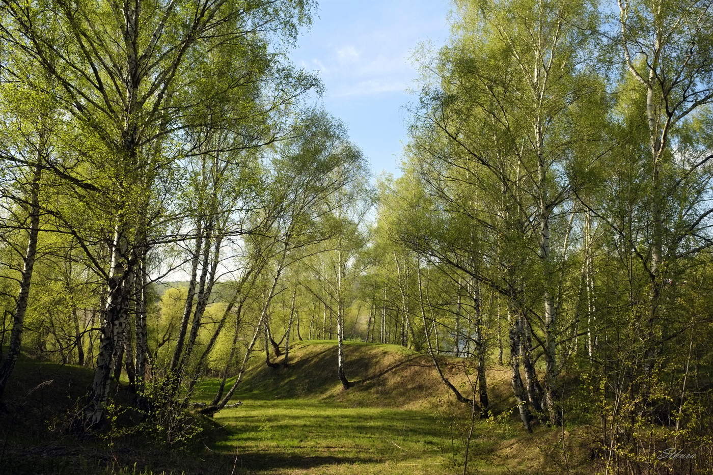 Майское состояние