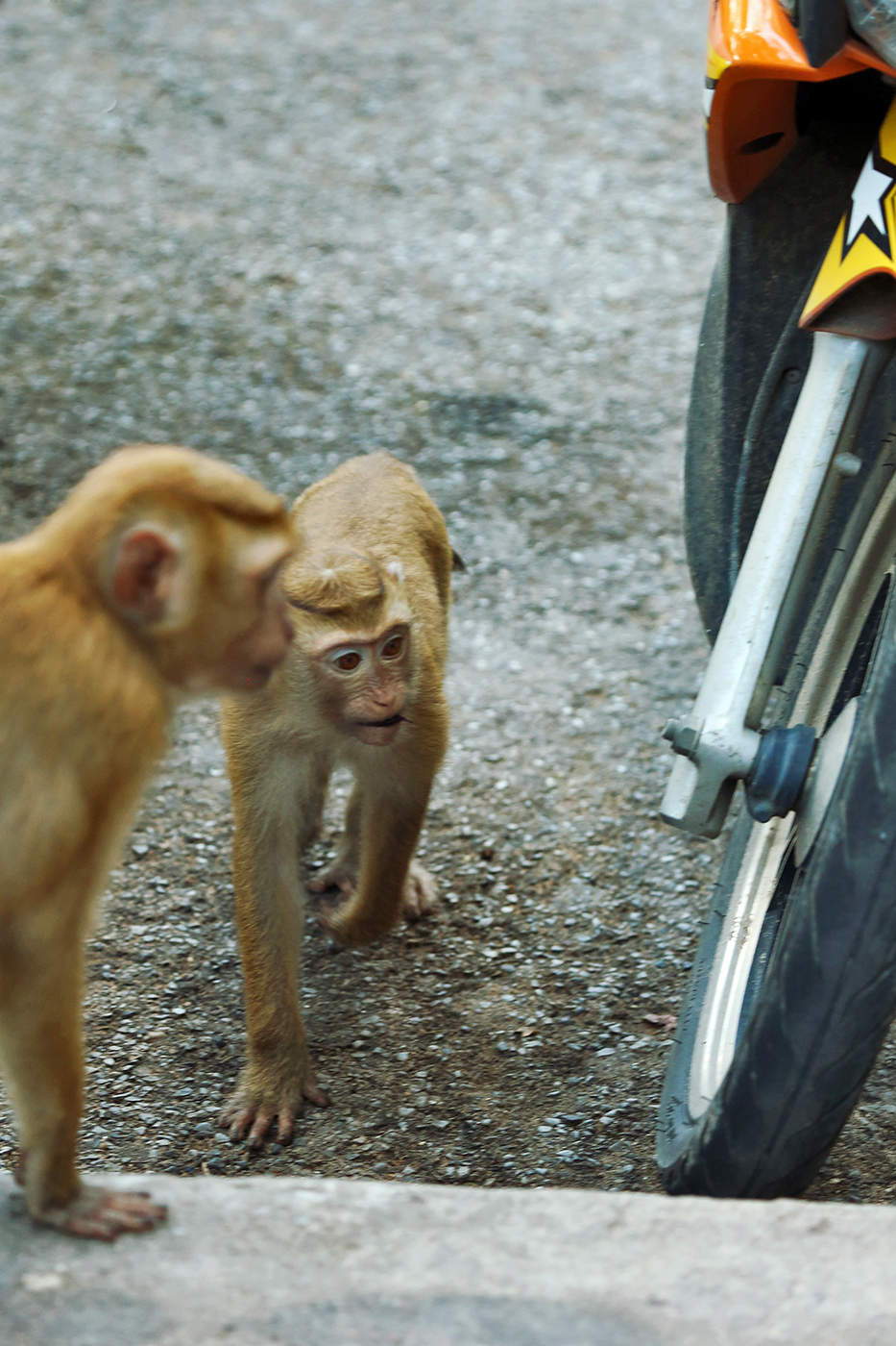 Пора менять резину