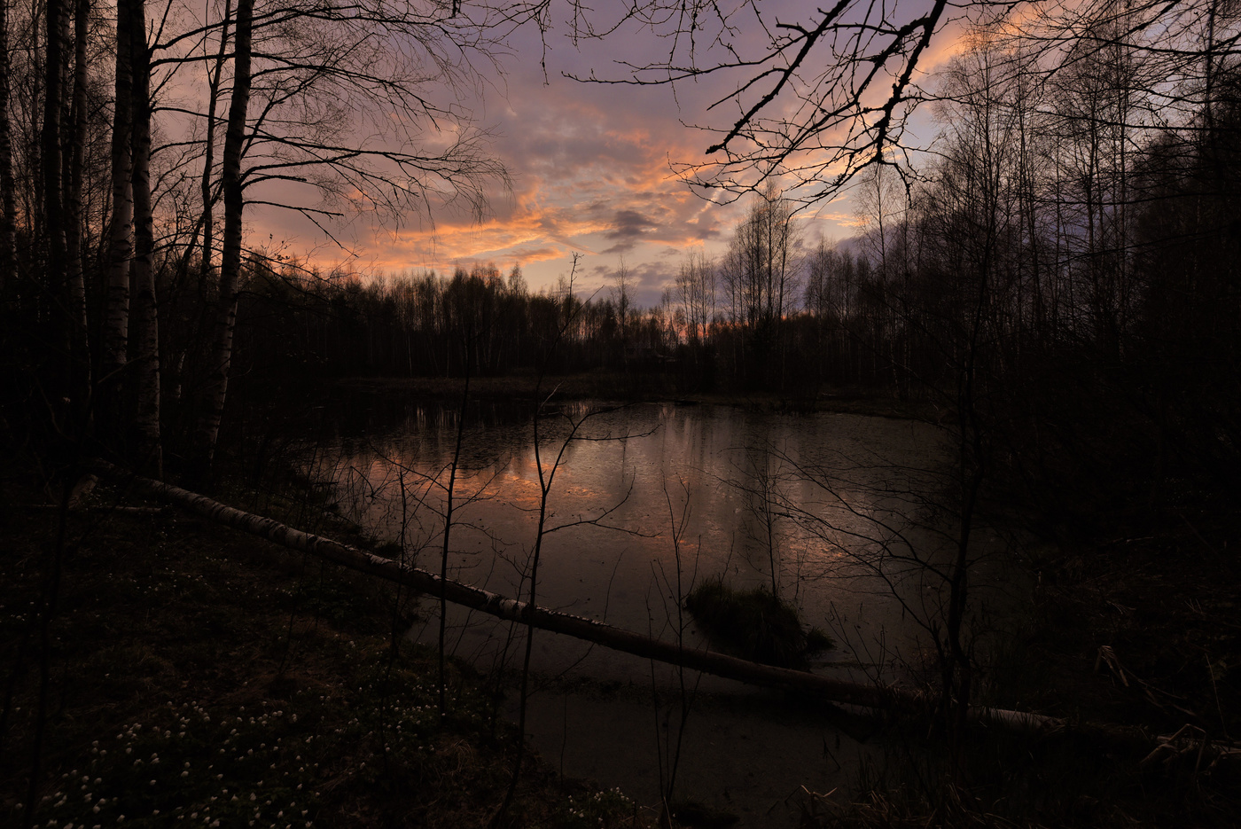 "Выткался над озером алый цвет зари..."
