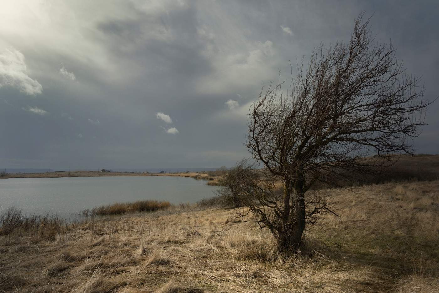 Хмурое утро