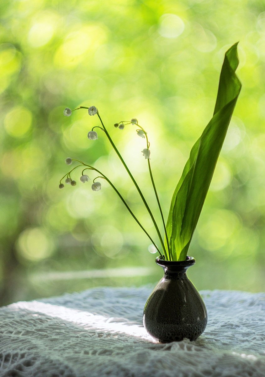 . . . л а н д ы ш и . . .