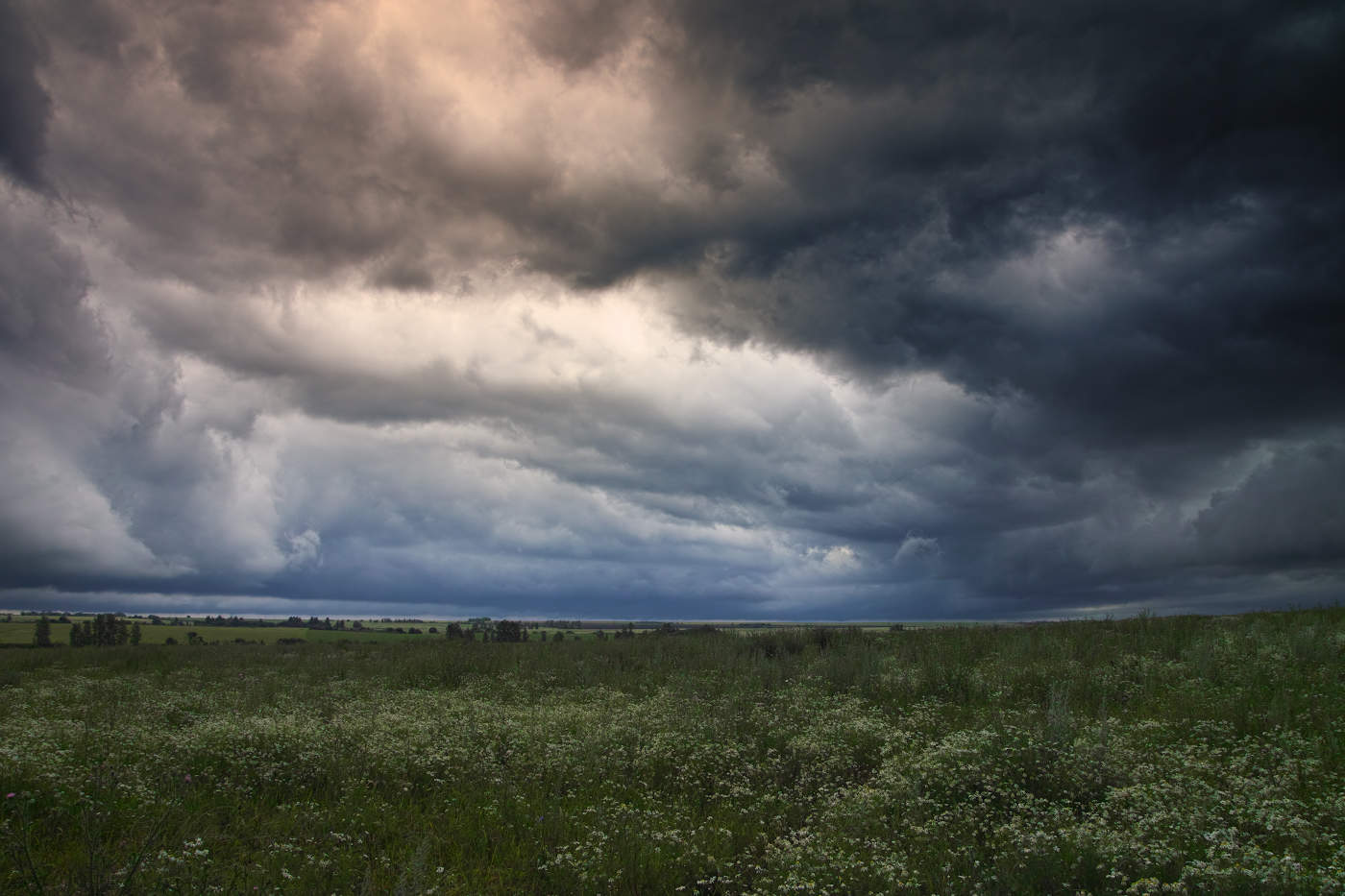 Перед грозой