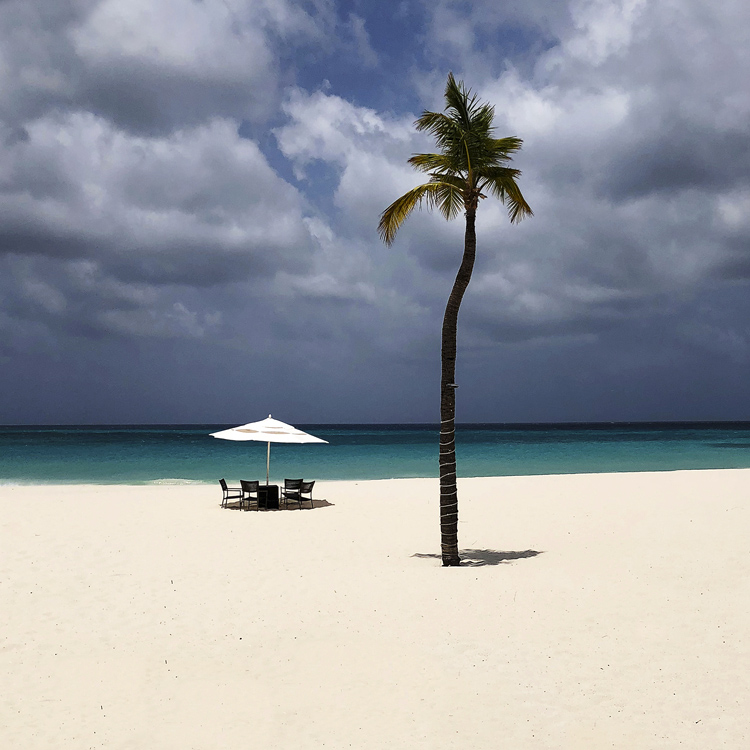 Этюд с зонтиком и пальмой