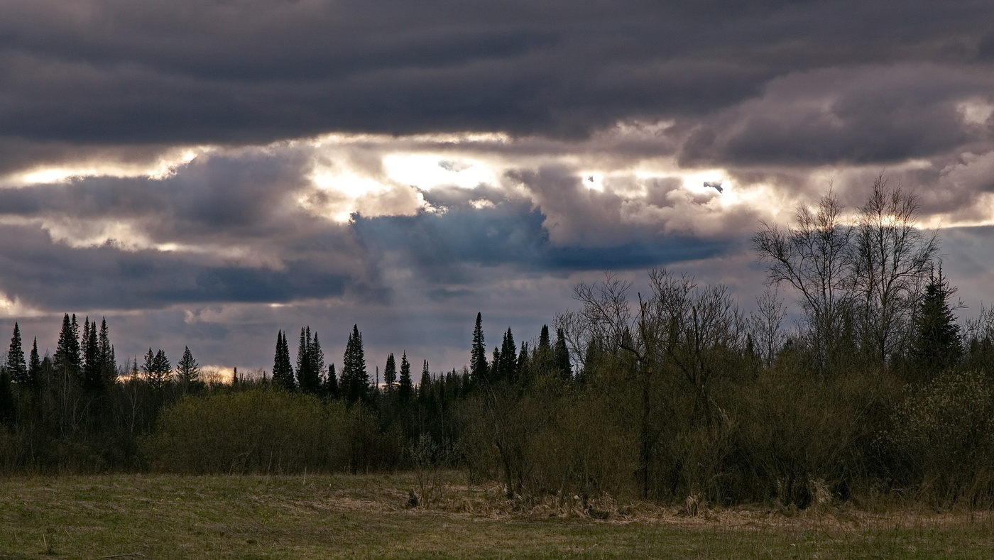 ВЕСЕННИЙ ВЕЧЕР