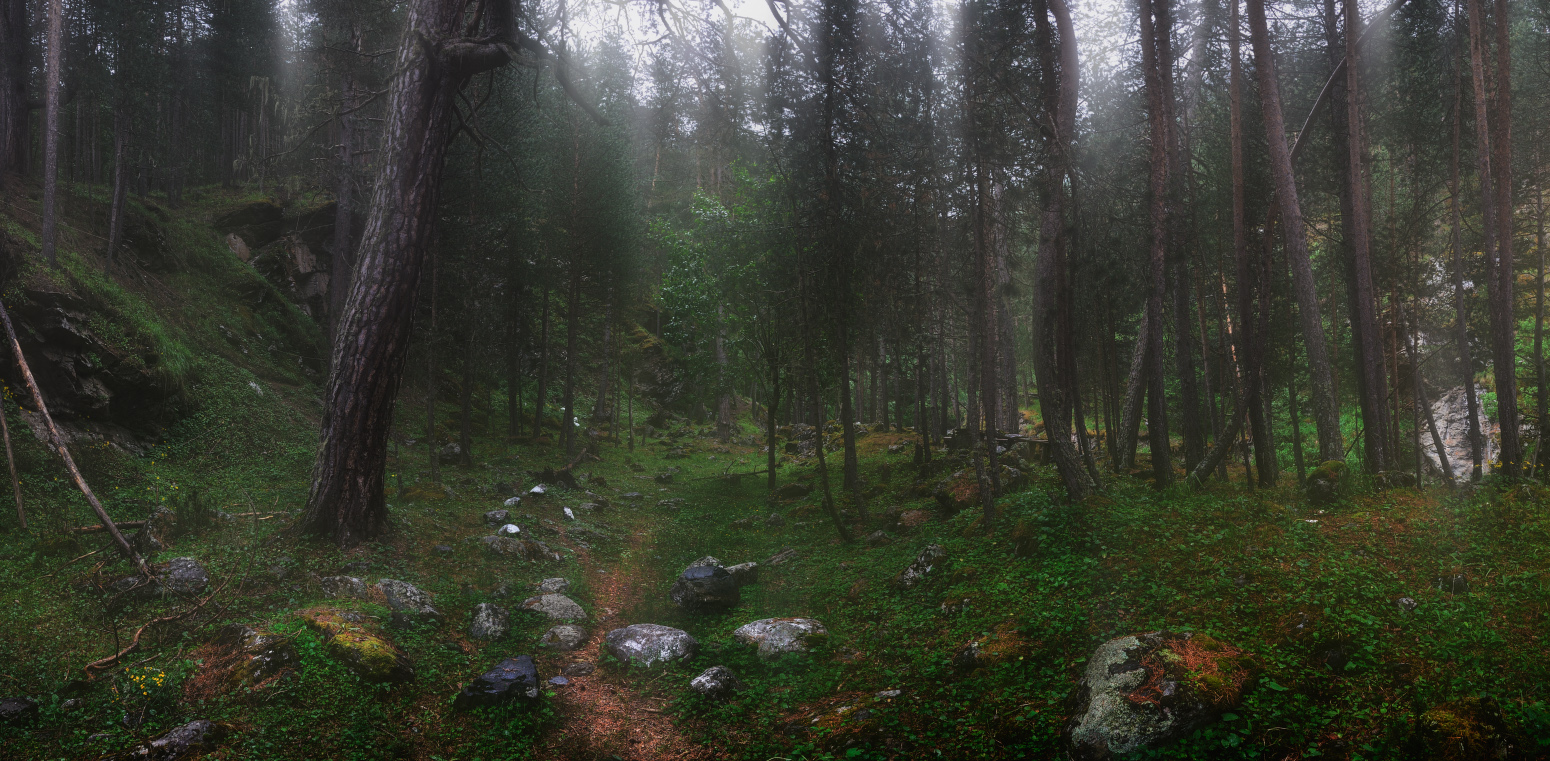 Тропами Юсеньги