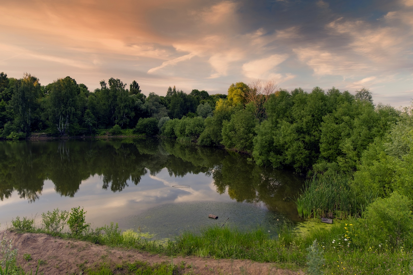 Тёплым вечером на пруду