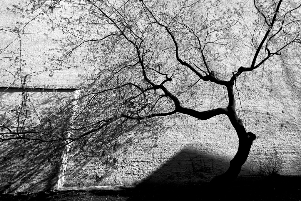 Линии и тени