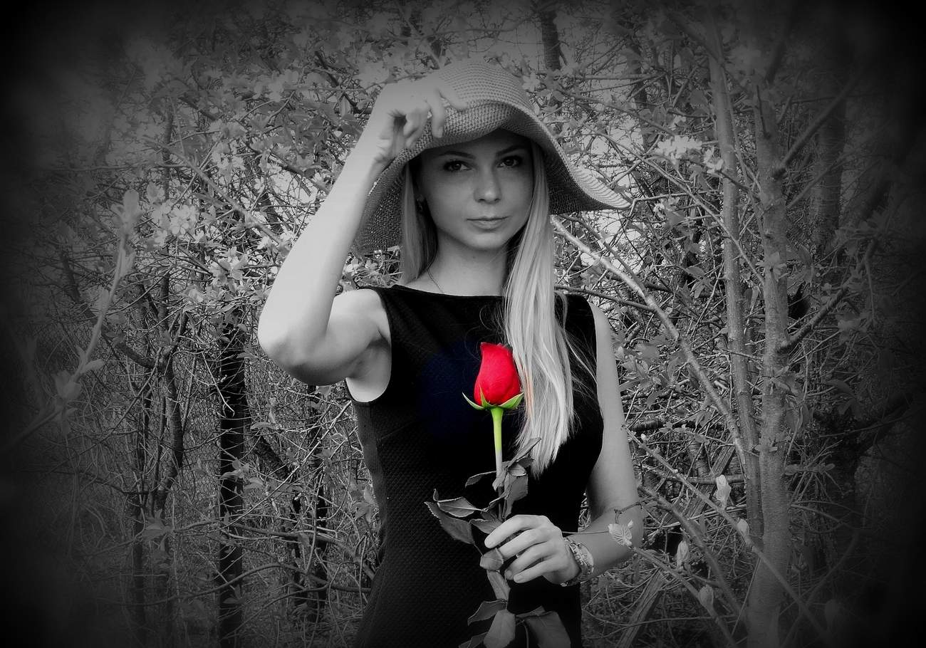 Дама не из Амстердама