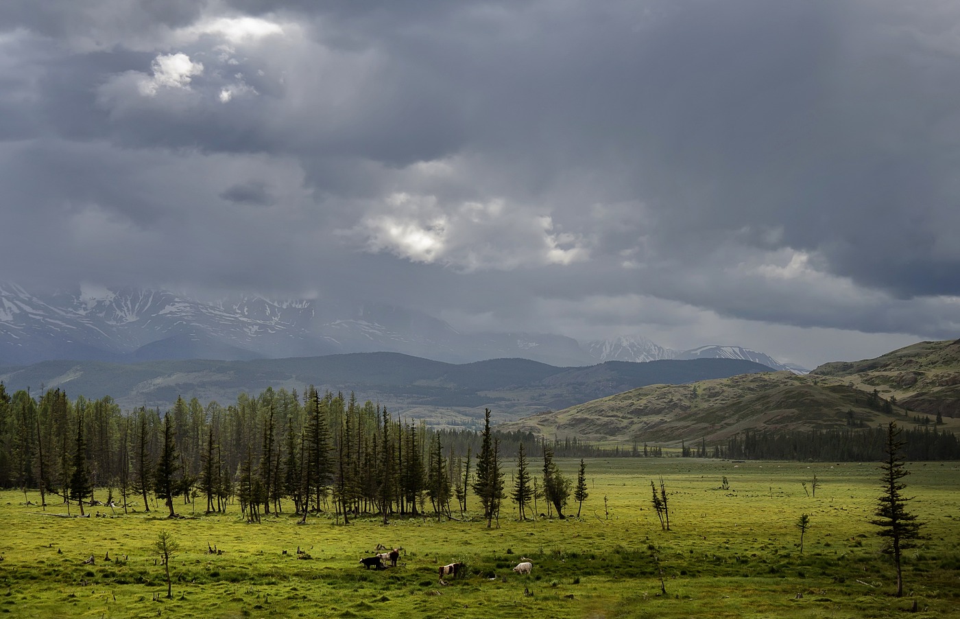 Один день непогоды.