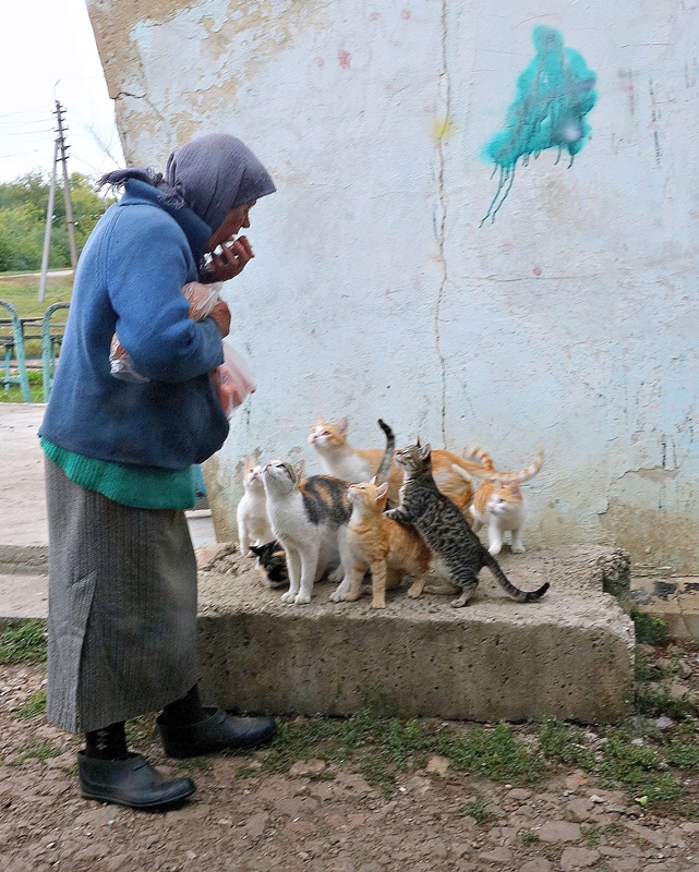 Дама не из Амстердама