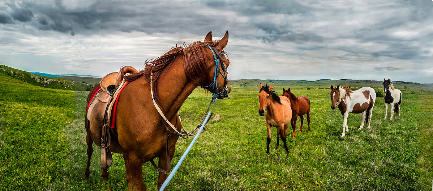 Место встречи