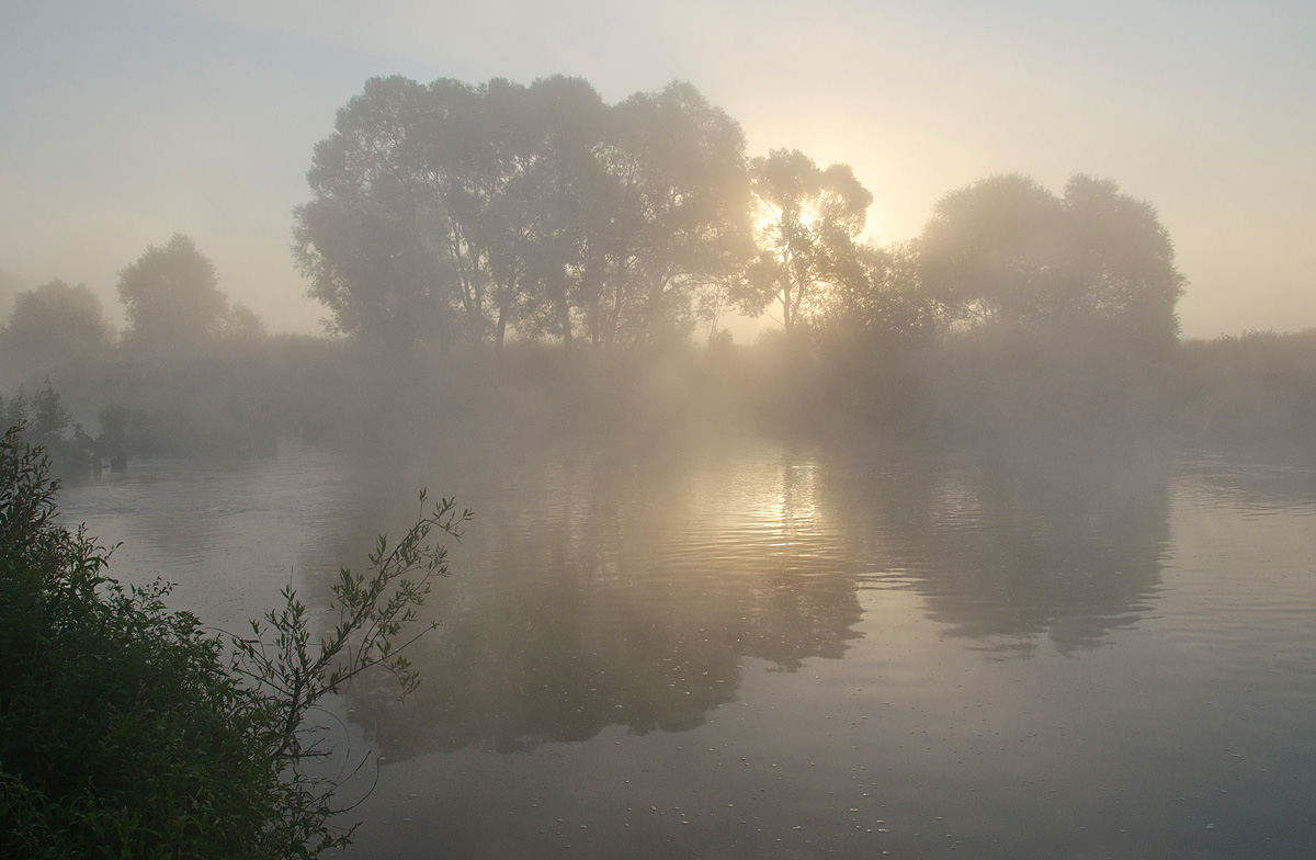 У речного омута