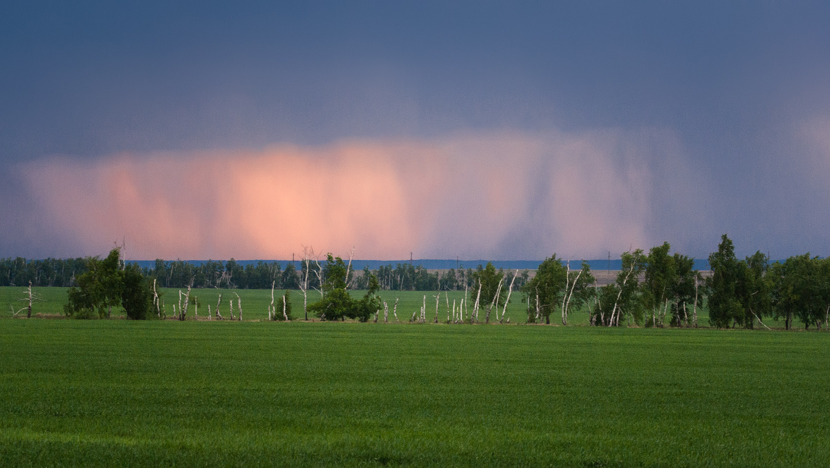 Майский вкчер