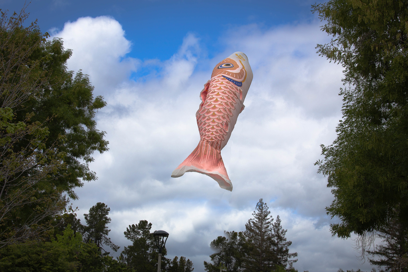 Рыбка в облаках...