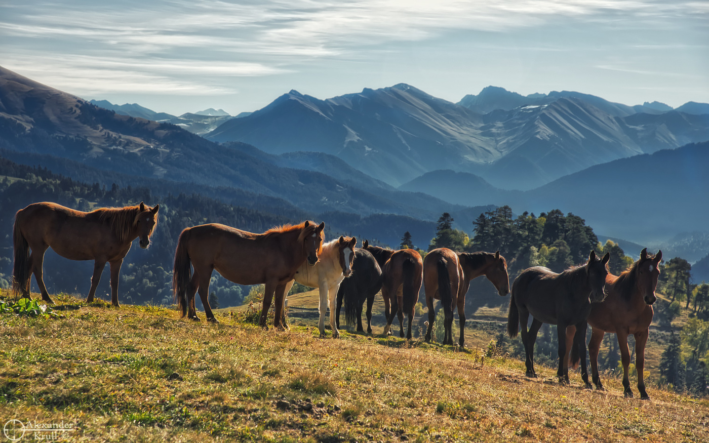Встреча на перевале...