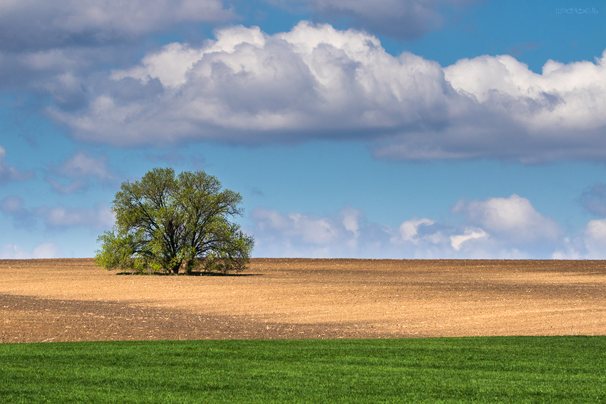 Не "Rhein II", но тоже довольно простой пейзажик :)