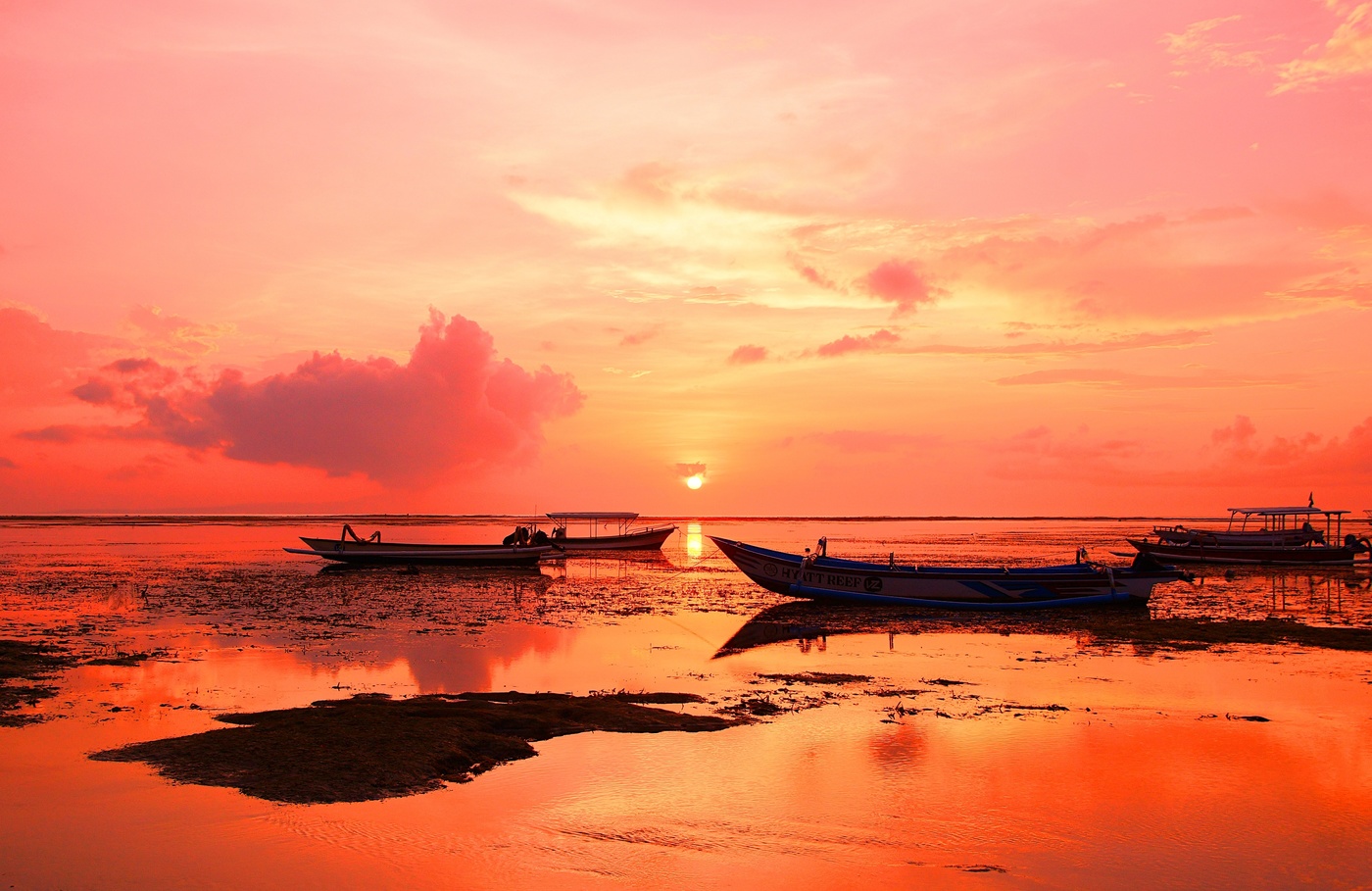 Нежное утро...