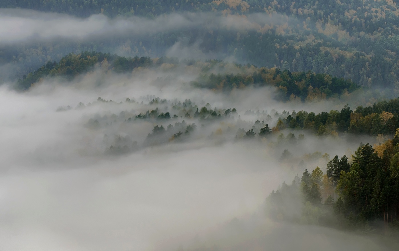 Стелется туман.