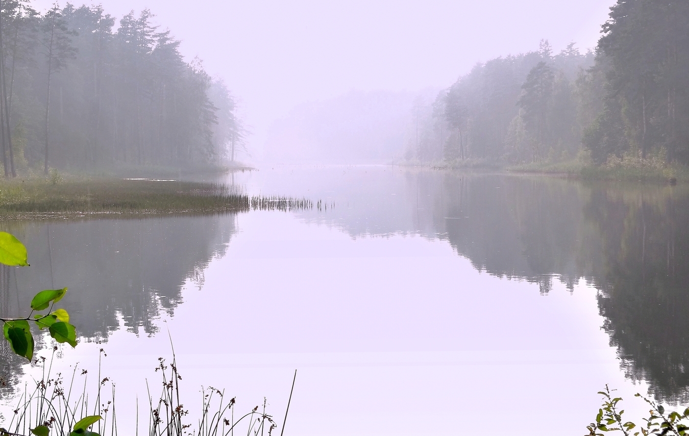 Сплошной туман