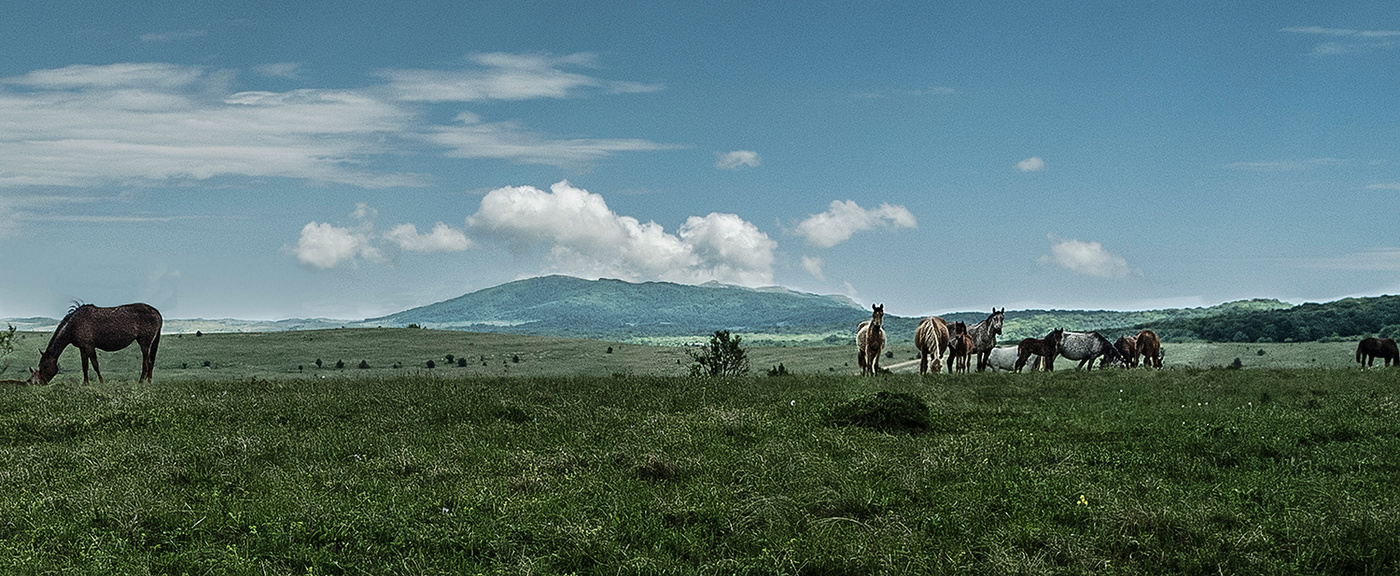 Под майским небом.