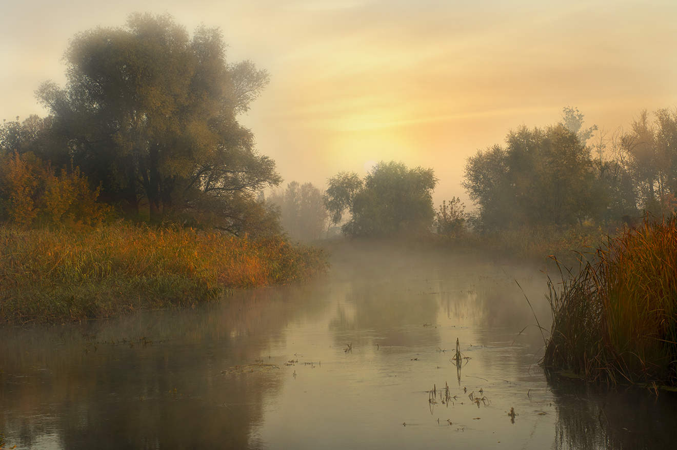 Эх,туманы осенние