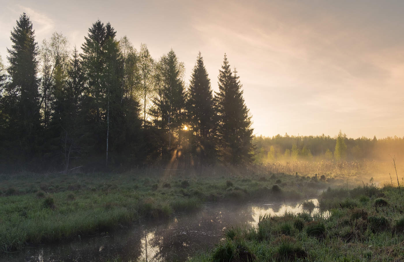 Туман и солнце-будет день чудесный