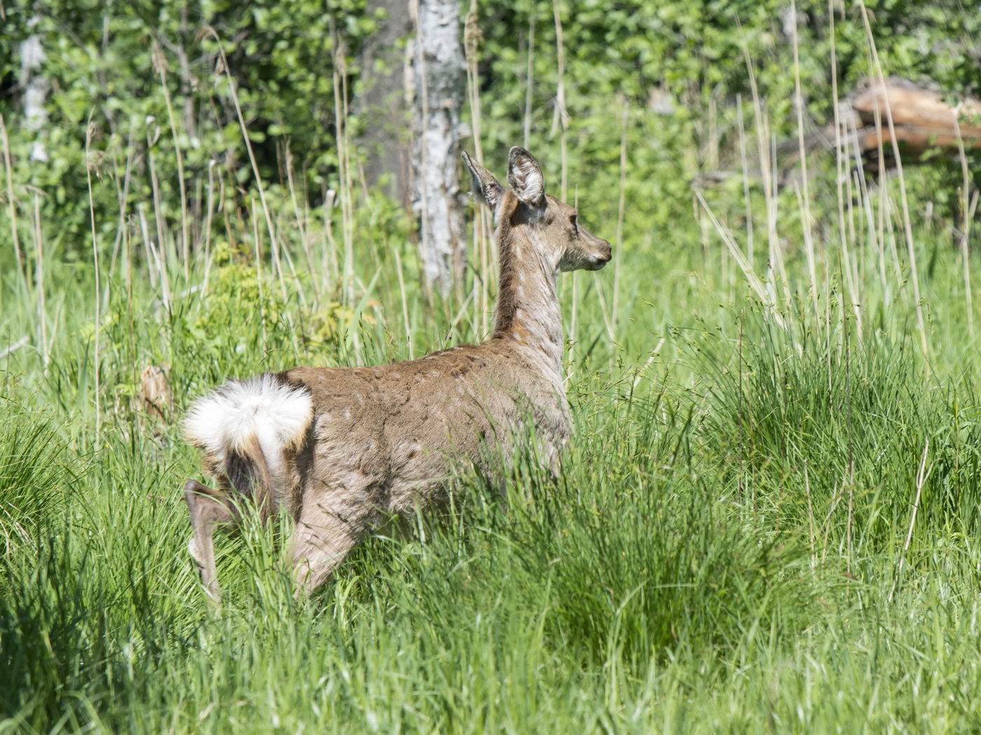 В солнечный день.