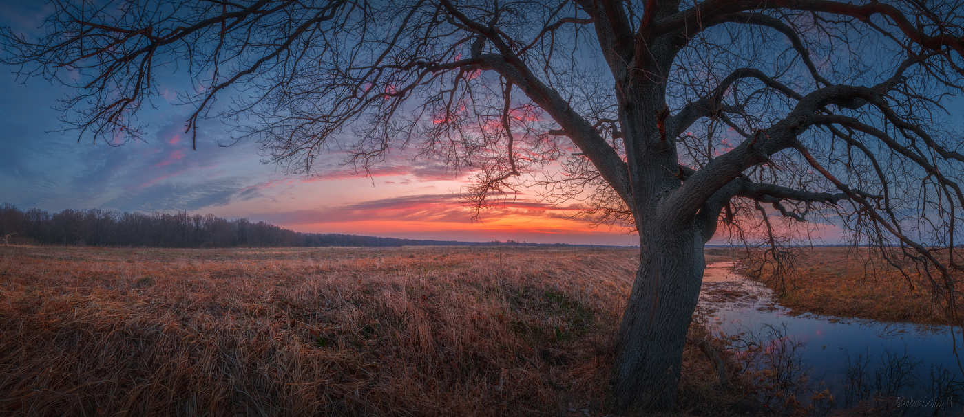 Апрельское утро